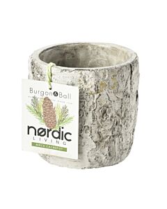 Burgon & Ball Silver Birch Plant Pot Small